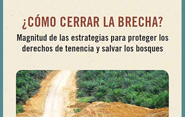 Como-Cerrar-La-Brecha_RRI-Annual-Review-2016_Espanol